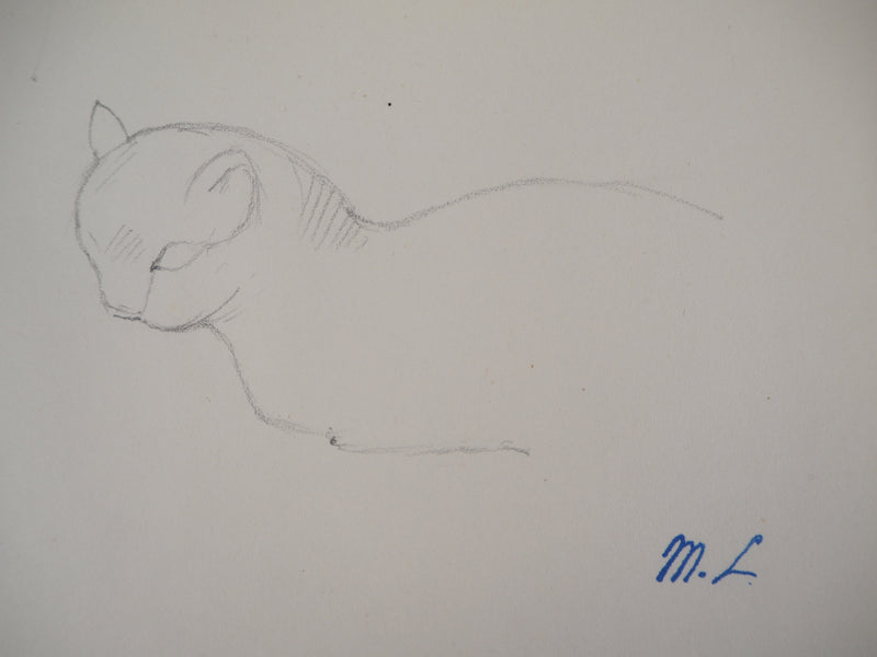 Marie LAURENCIN : Etude du chat - Dessin (détail)