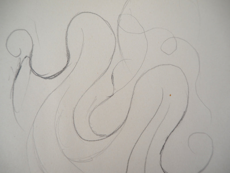 Marie LAURENCIN : Etude d’ornement - Dessin (détail)