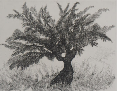 Auguste LEPERE : Un arbre  - Gravure