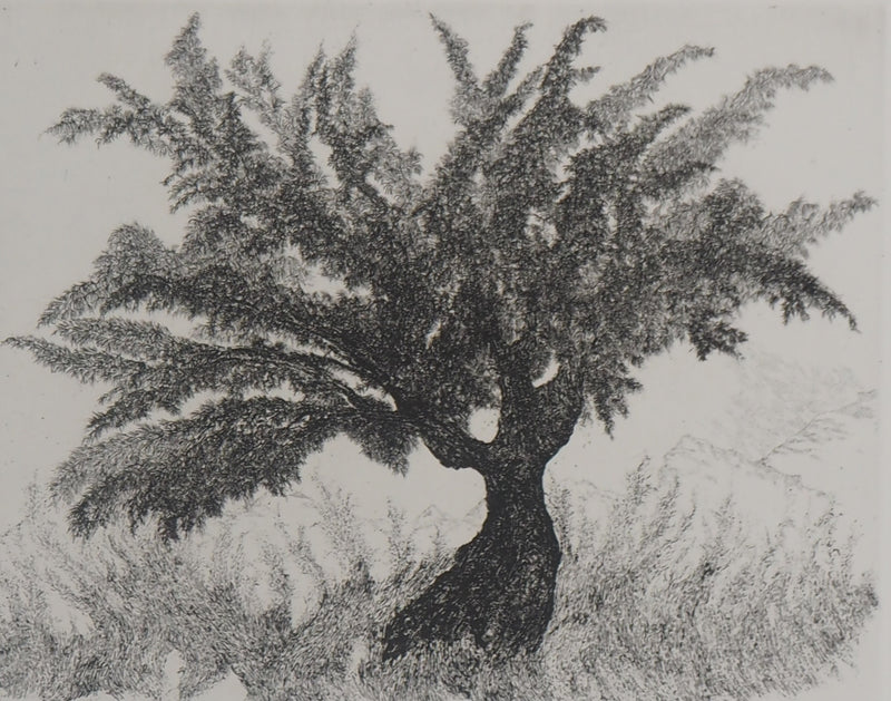 Auguste LEPERE : Un arbre  - Gravure