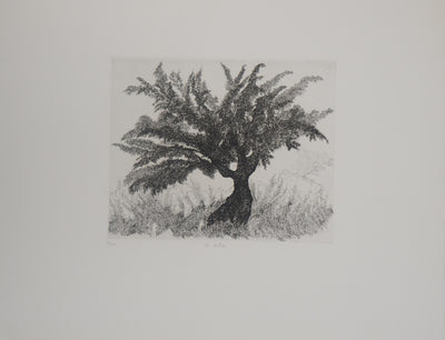 Auguste LEPERE : Un arbre  - Gravure (détail)