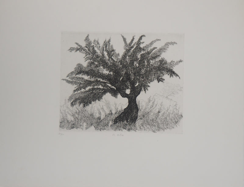 Auguste LEPERE : Un arbre  - Gravure (détail)