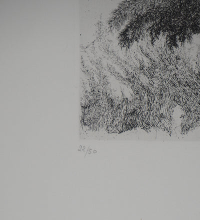 Auguste LEPERE : Un arbre  - Gravure (détail)