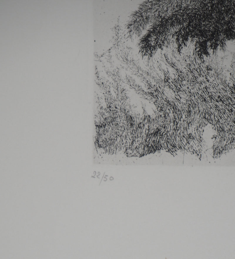 Auguste LEPERE : Un arbre  - Gravure (détail)