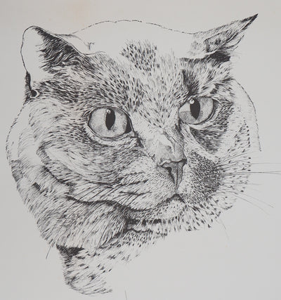 Philippe LERAY : Tête de chat - Lithographie