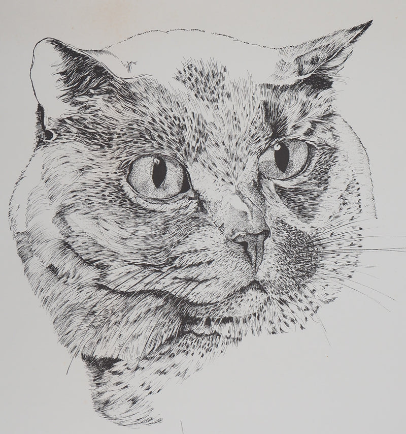Philippe LERAY : Tête de chat - Lithographie