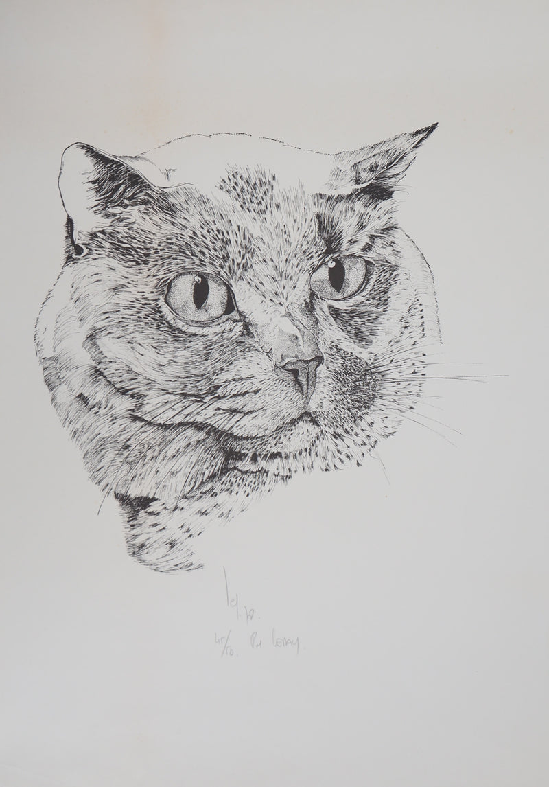 Philippe LERAY : Tête de chat - Lithographie (détail)