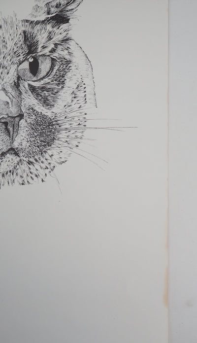 Philippe LERAY : Tête de chat - Lithographie (détail)