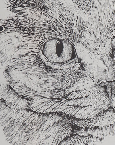 Philippe LERAY : Tête de chat - Lithographie (détail)