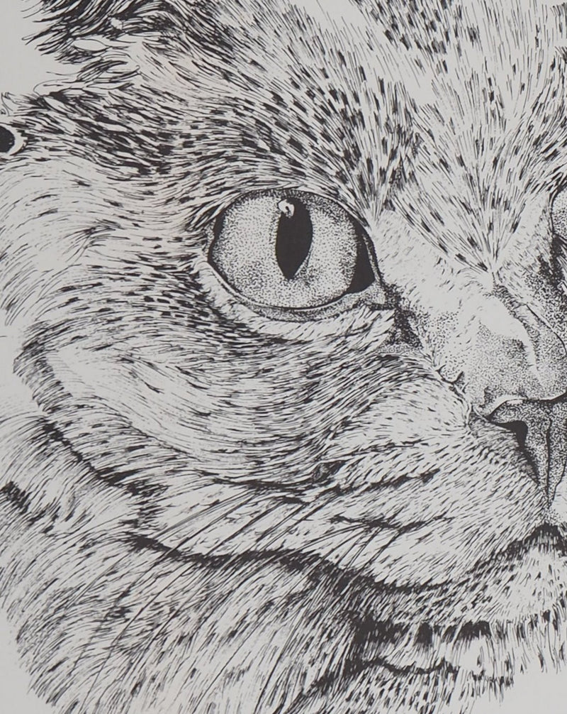 Philippe LERAY : Tête de chat - Lithographie (détail)