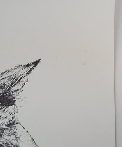 Philippe LERAY : Tête de chat - Lithographie (détail)