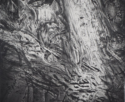Etienne LODEHO : Éclosion - Gravure (détail)