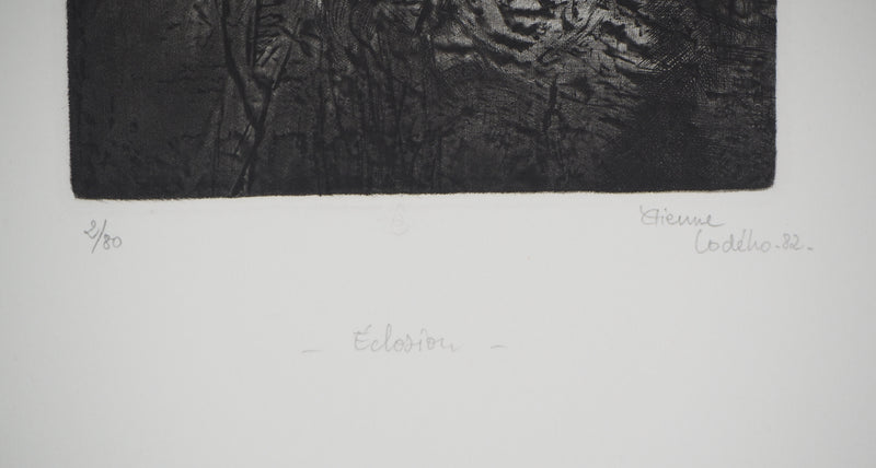 Etienne LODEHO : Éclosion - Gravure (détail)