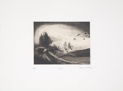 Etienne LODEHO : Neige - Gravure (détail)