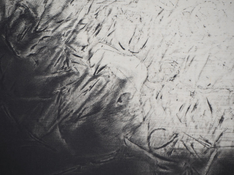 Etienne LODEHO : Passage IX - Gravure (détail)