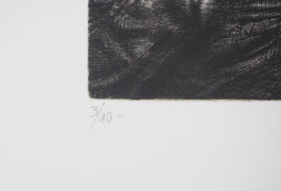 Etienne LODEHO : Vers la lumière - Gravure (détail)