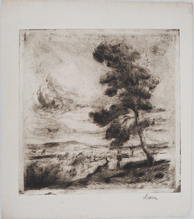 Maximilien LUCE : Paysage de Yonne  - Gravure