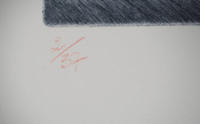  LUTH : Sa médiocre ruine - Gravure (détail)