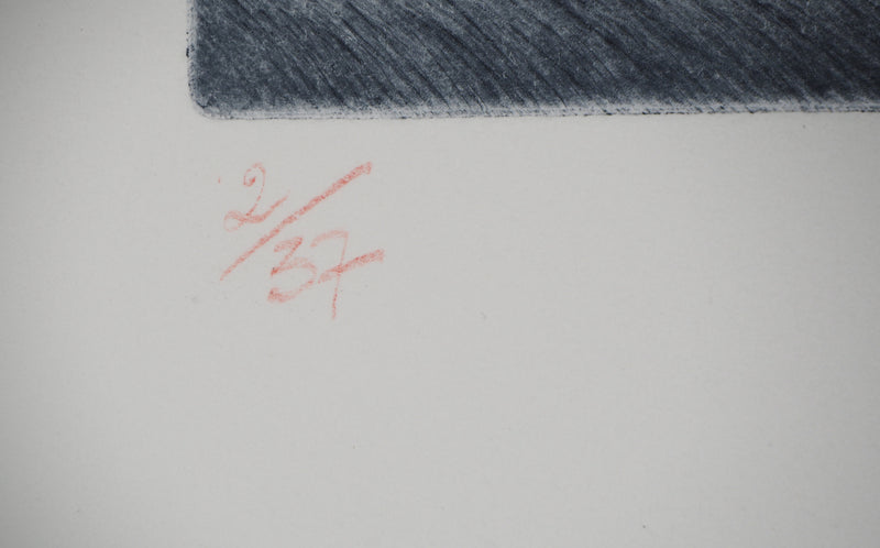  LUTH : Sa médiocre ruine - Gravure (détail)
