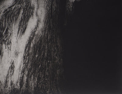 Stanislav MARIJANOVIC : La rencontre de l'abstraction et de la lumière, 1989 - Gravure (détail)