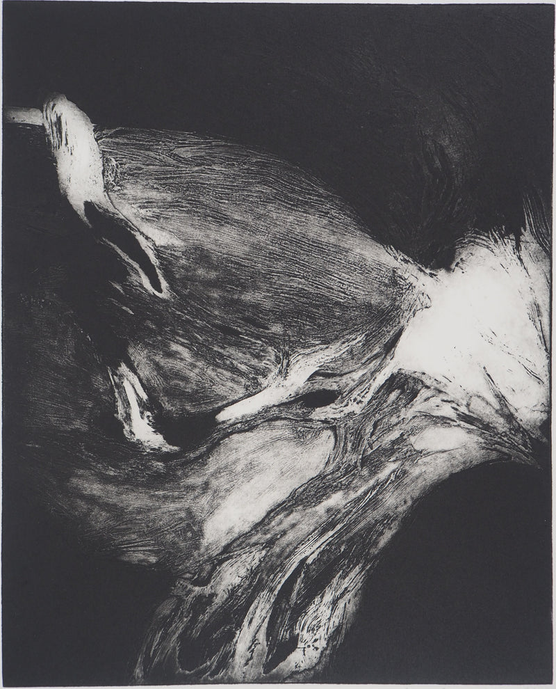 Stanislav MARIJANOVIC : Le réveil de la conscience, 1989 - Gravure