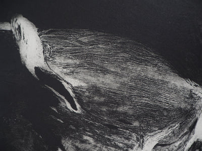 Stanislav MARIJANOVIC : Le réveil de la conscience, 1989 - Gravure (détail)