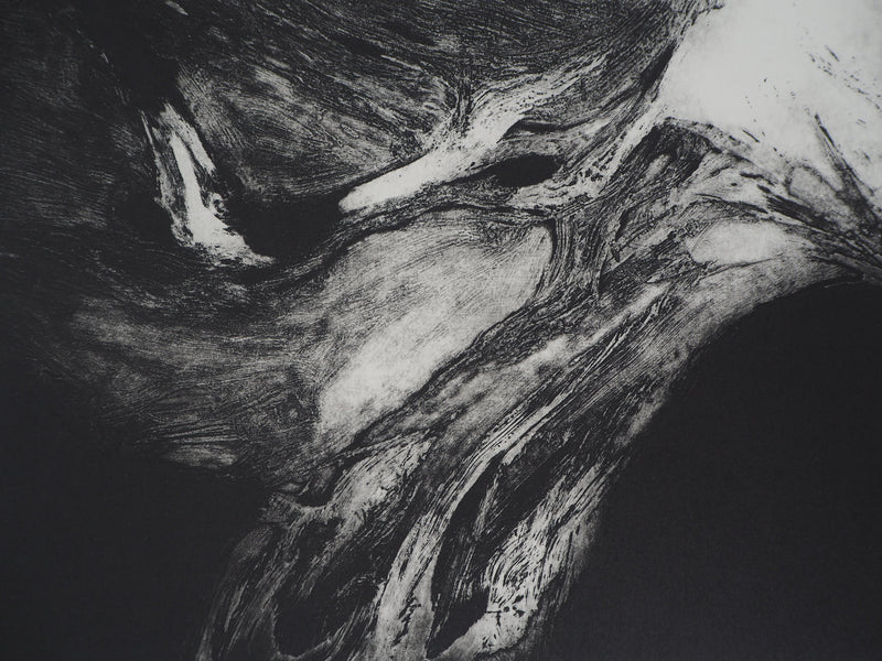 Stanislav MARIJANOVIC : Le réveil de la conscience, 1989 - Gravure (détail)