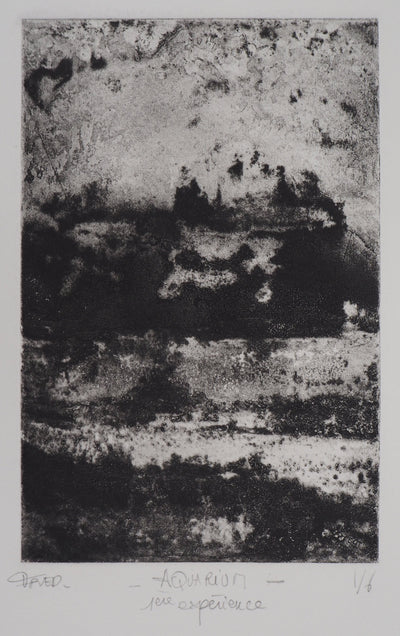 Fred MARTIN : Aquarium - Gravure