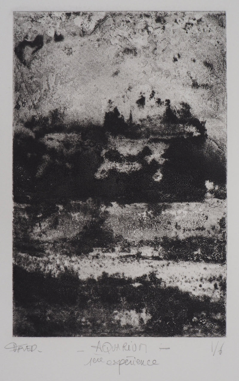 Fred MARTIN : Aquarium - Gravure