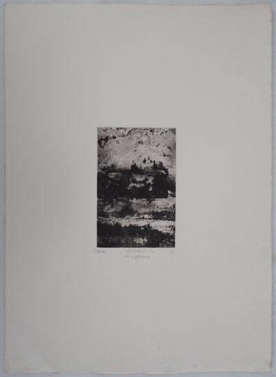 Fred MARTIN : Aquarium - Gravure (détail)