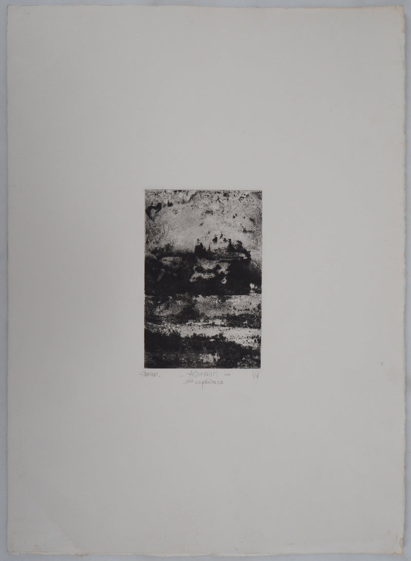 Fred MARTIN : Aquarium - Gravure (détail)