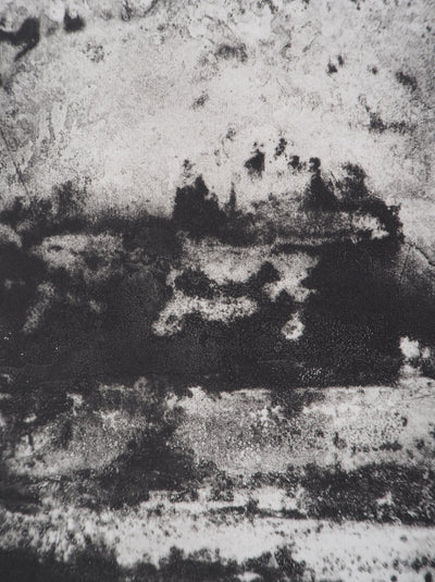 Fred MARTIN : Aquarium - Gravure (détail)
