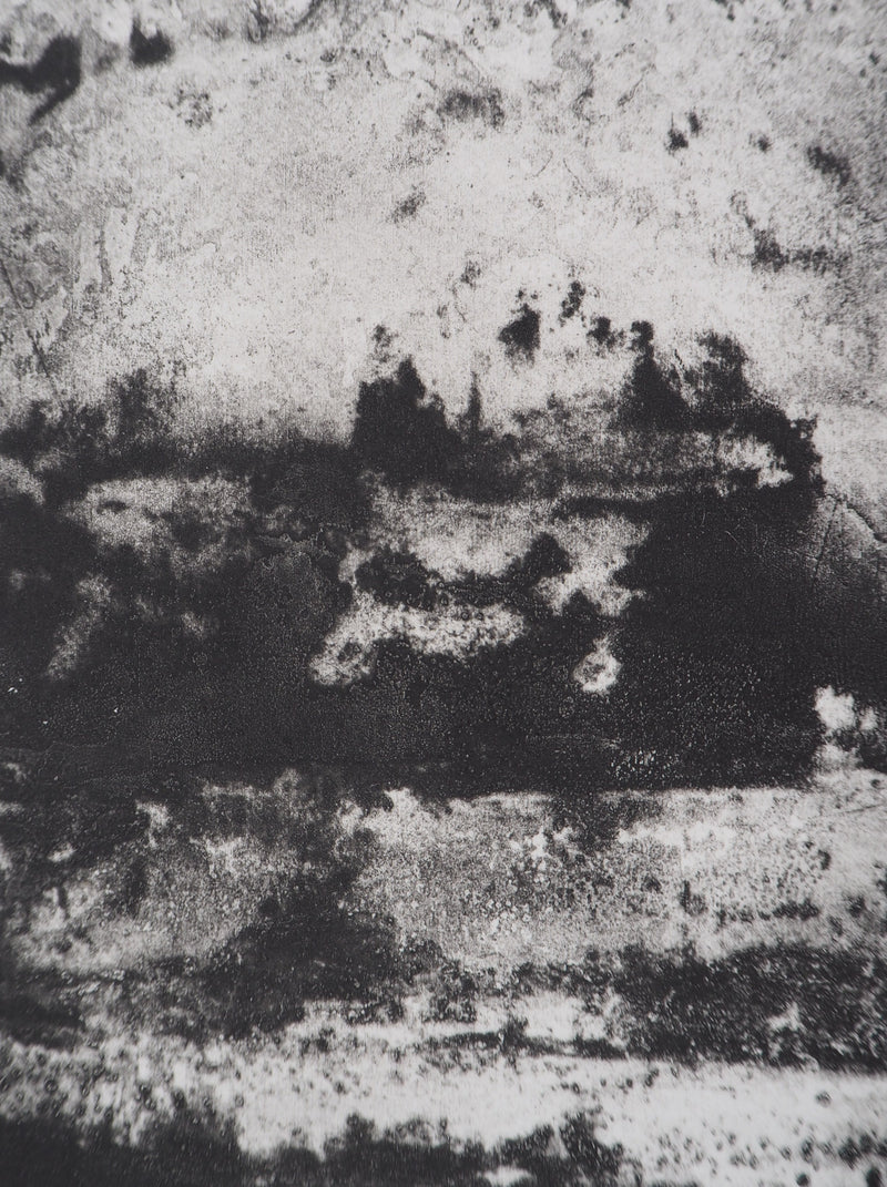 Fred MARTIN : Aquarium - Gravure (détail)