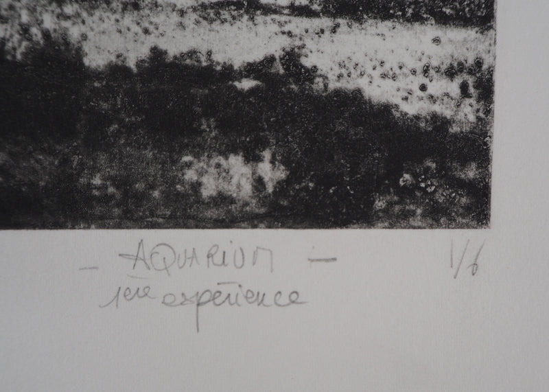 Fred MARTIN : Aquarium - Gravure (détail)