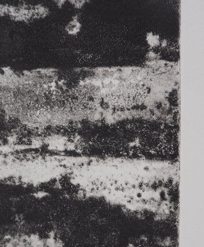 Fred MARTIN : Aquarium - Gravure (détail)
