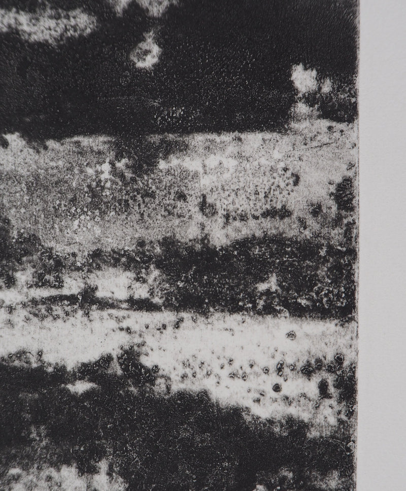Fred MARTIN : Aquarium - Gravure (détail)