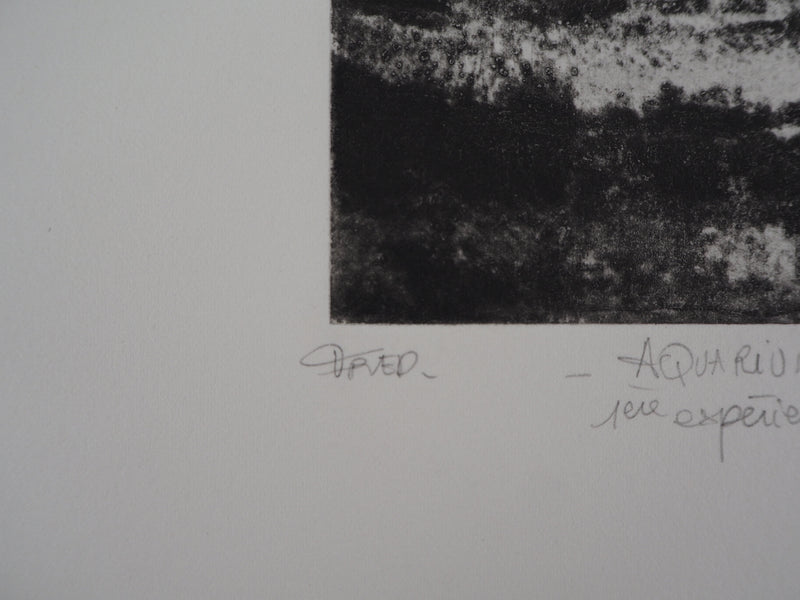Fred MARTIN : Aquarium - Gravure (détail)