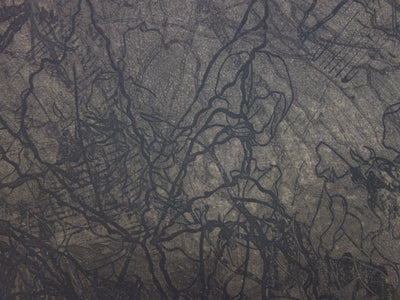 Philippe MARTIN : Deux pommes - Gravure (détail)