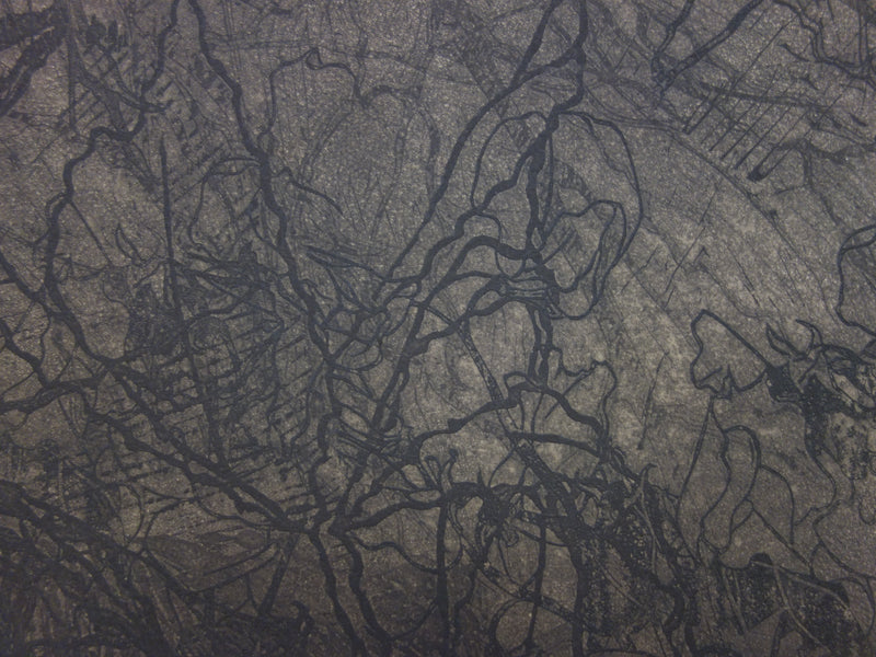 Philippe MARTIN : Deux pommes - Gravure (détail)