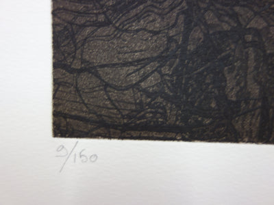 Philippe MARTIN : Deux pommes - Gravure (détail)