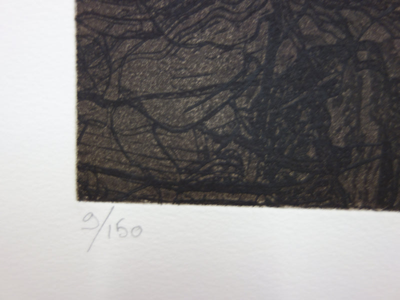 Philippe MARTIN : Deux pommes - Gravure (détail)