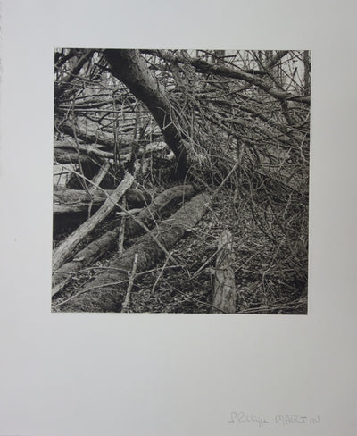 Philippe MARTIN : La forêt - Gravure