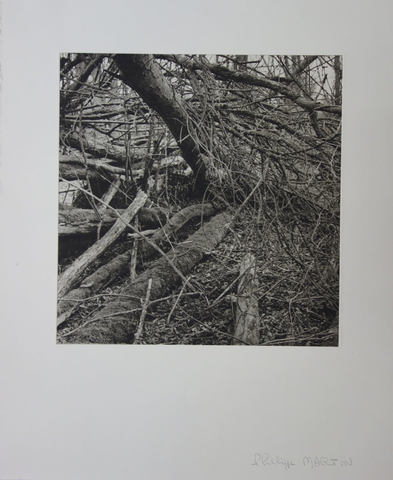 Philippe MARTIN : La forêt - Gravure