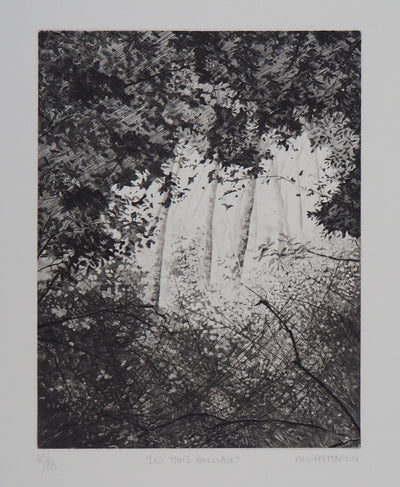 Philippe MARTIN : Les trois bouleaux - Gravure