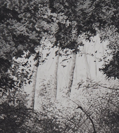 Philippe MARTIN : Les trois bouleaux - Gravure (détail)
