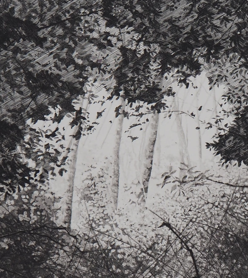 Philippe MARTIN : Les trois bouleaux - Gravure (détail)