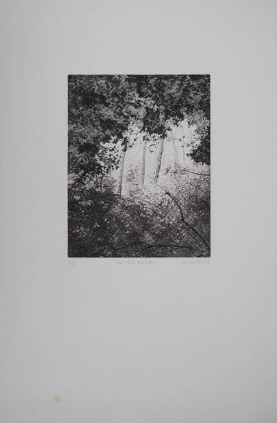 Philippe MARTIN : Les trois bouleaux - Gravure (détail)