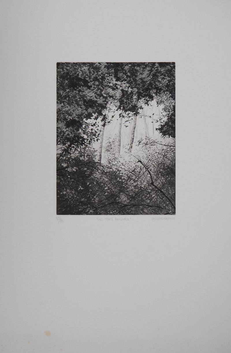Philippe MARTIN : Les trois bouleaux - Gravure (détail)