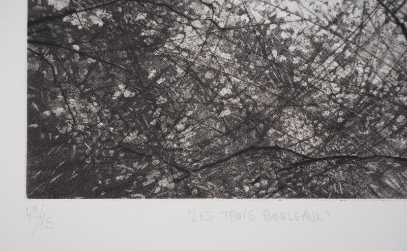 Philippe MARTIN : Les trois bouleaux - Gravure (détail)