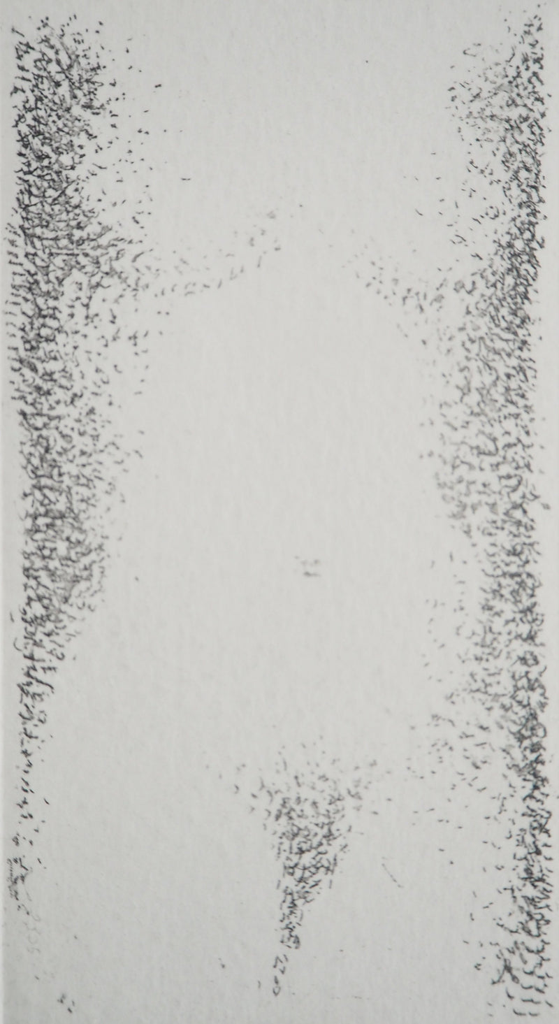 Gregory MASUROVSKY : Torse I, 1997 - Gravure (détail)